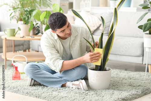 Young man wiping plant's le...