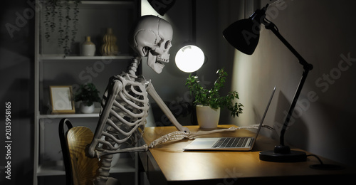Human skeleton model with l...