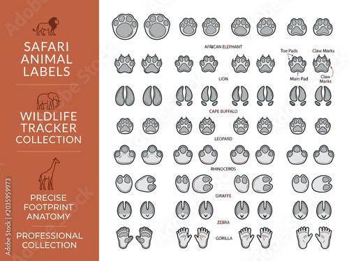 Precise Safari Wildlife Tracker Collection: Detailed Footprint Anatomy Guide for African Animal Identification Infographic