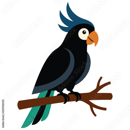 Photos Black palm cockatoo parrot with blue crest sitting on a branch isolated on white