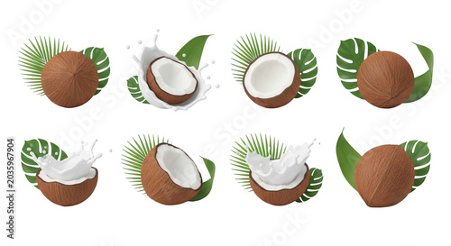 coconut assortment with milk splashes and green leaves tropical food beverage or beauty product imagery