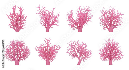 pink coral reef sculptures in various shapes set against a plain white background decorative purposes