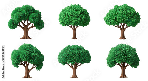 isolated cartoon tree illustrations on white background for landscape design educational materials and graphics