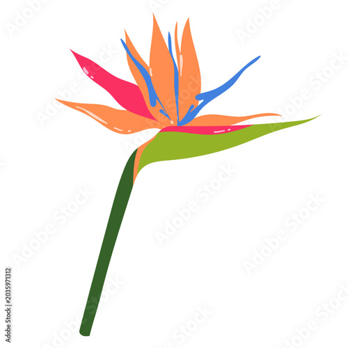 Bird of Paradise Flower Illustration, Strelitzia Tropical Plant, Exotic Floral Element, Vibrant Jungle Bloom, Isolated Botanical Design
