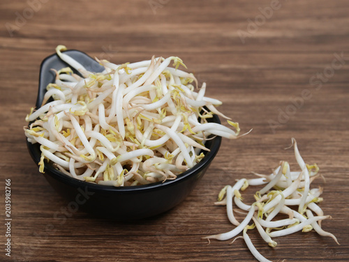 Tauge or Kecambah is Mung Bean Sprouts or Vigna Radiata