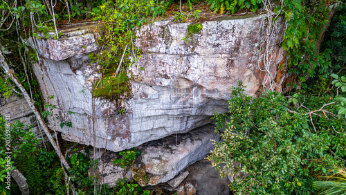 Photos A large rock overhang draped with vines and foliage in a dense forest setting, showcasing the beauty of the Colombian landscape