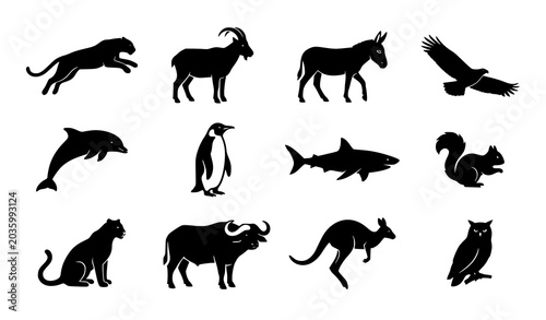 Foto Assorted black animal silhouettes vector illustration with different wildlife po
