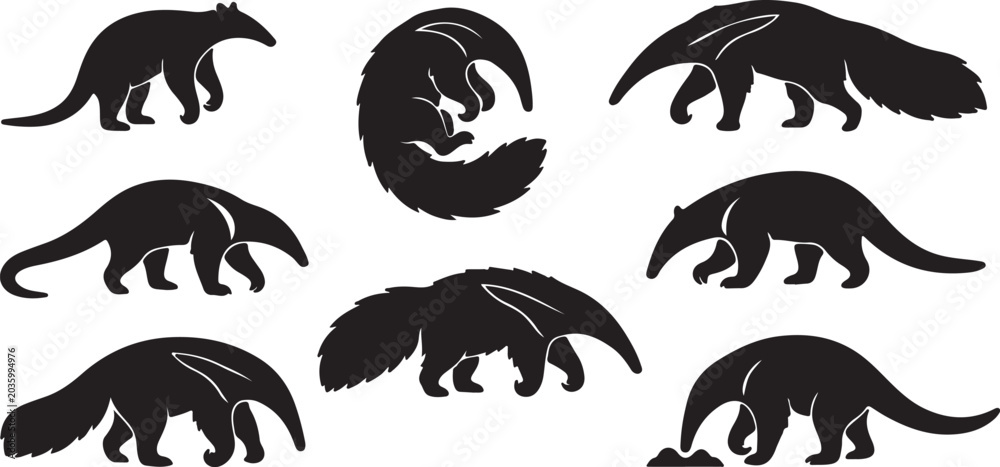Obraz premium Collection of various anteater silhouettes on white background Animals