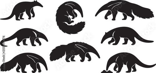 Collection of various anteater silhouettes on white background  Animals