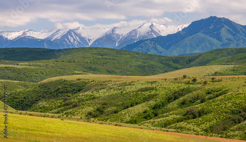 A picturesque landscape in the Dzungarian Alatau mountains in southeastern Kazakhstan on a summer day.