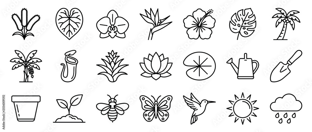 Obraz premium Tropical plant and garden icons set. Exotic flora and gardening tools. Palm tree, banana plant, monstera leaf. Hibiscus, orchid, lotus flower. Butterfly, bee, hummingbird. Sun, rain cloud