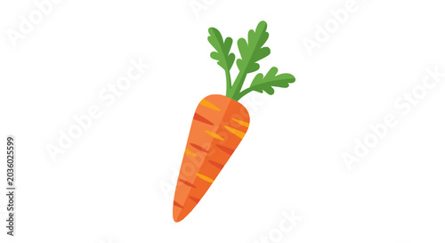 Tableau sur toile Organic garden carrots with lobed green leaves