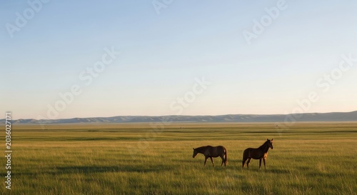 Two horses grazing peacefully in a vast open grassland under a clear blue sky