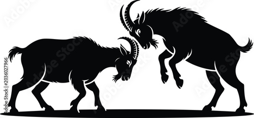 Photos Mountain male goat sparring silhouette vector illustration isolated on white bac