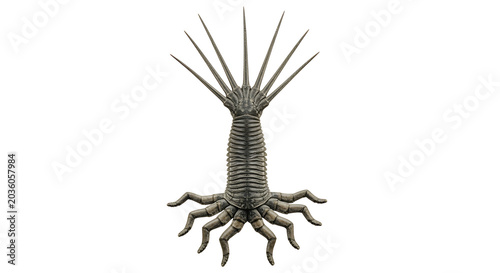 Isolated ancient sea creature fossil, a prehistoric marine life specimen