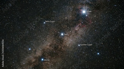 Constellation Cygnus labeled with Northern Cross asterism stars including Deneb, Sadr, Albireo, Delta Cygni, and Epsilon Cygni against the starry Milky Way galaxy background.