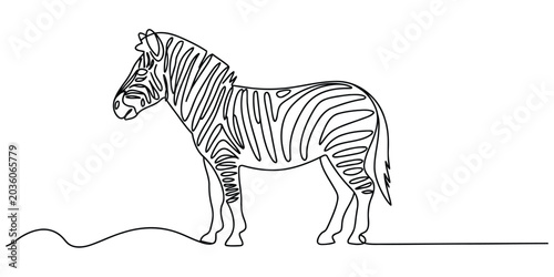 Photography Continuous line drawing of a zebra