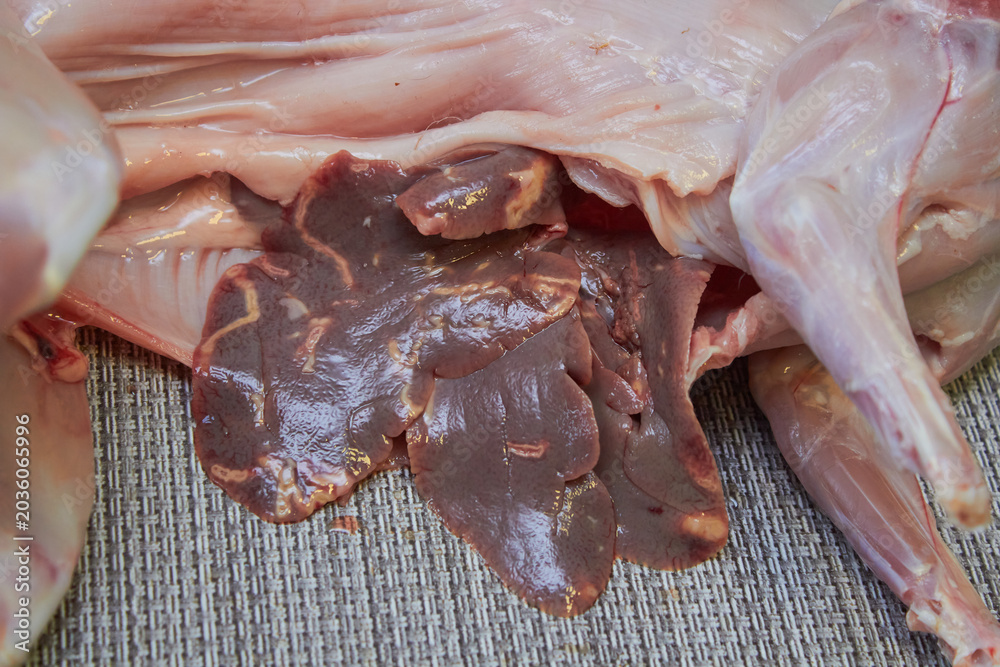 Φωτογραφία Veterinary examination of the internal organs and liver of a rabbit, Fresh raw r