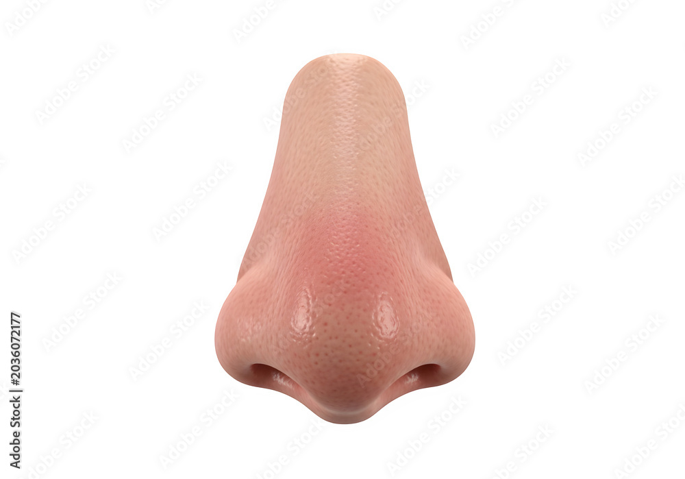 Fototapeta premium Realistic human nose isolated on transparent background