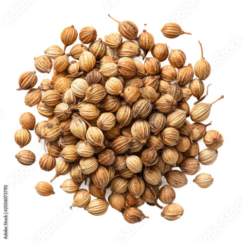 Heap of Whole Dried Coriander Seeds isolated on transparent background. PNG. Generated AI
