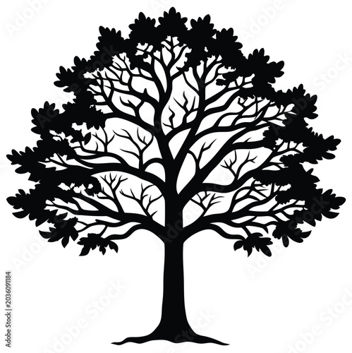 Black Oak Tree Silhouette Vector Isolated on White Background
