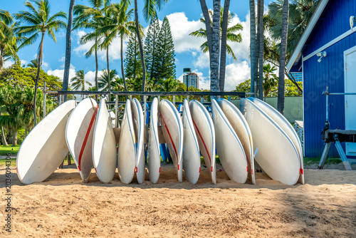 Group of surfboards lined up under palm trees at Waikiki Beach