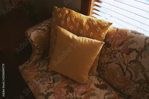 Cozy floral couch with pillows by sunny window