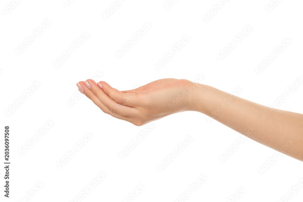 Fototapeta premium Open hand signals communication and interaction, PNG