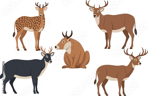 Photography Deer, Giraffe, and Antelope Illustrations on White Background