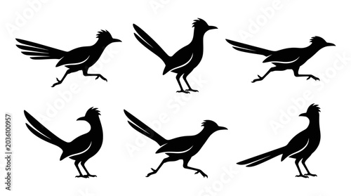 Obraz na płótnie different black roadrunner bird silhouettes on a clean white background, minimalist vector style