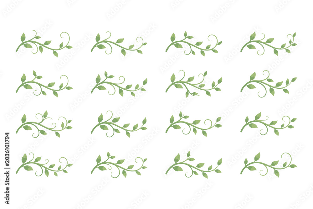 Obraz premium Collection of stylized green botanical flourishes with leaves, perfect for borders, dividers, and organic accents. Decorative natural elements.