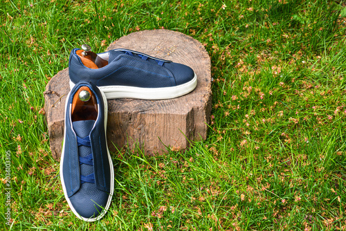 Pair of men 's shoes on the grass. Blue sneakers on a stump in the garden. Shoe fashion. Stylish sneakers