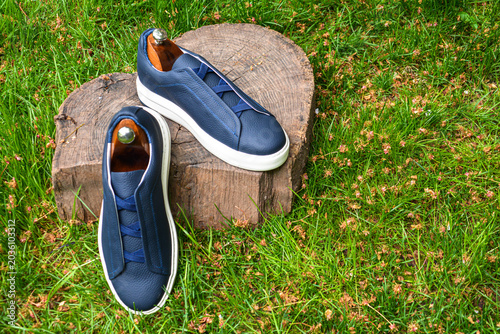 Pair of men 's shoes on the grass. Blue sneakers on a stump in the garden. Shoe fashion. Stylish sneakers