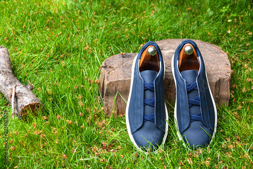 Pair of men 's shoes on the grass. Blue sneakers on a stump in the garden. Shoe fashion. Stylish sneakers