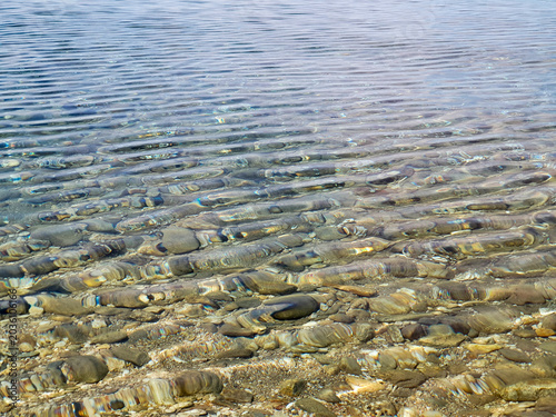 Clear Shallow Water Over Pebble Beach With Gentle Ripples And Sunlit Stones At Shoreline