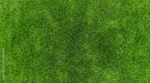 Lush green grass texture aerial view