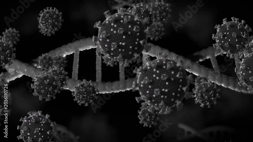 Viral sphere influx sparking DNA helix twisting while spheres drifting and clustering for binding