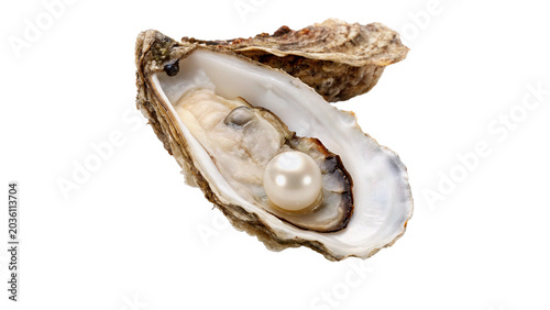Bild auf Leinwand Fresh raw opened oyster seashell marine delicacy seafood isolated on white backg