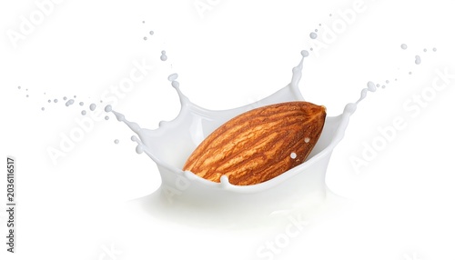 Single Brown Almond Splashing in White Milk on Clean Background