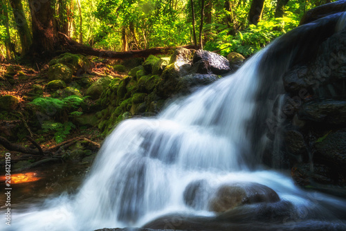 Kleiner Bach mit Wasserfall im Wald El Cedro auf La Gomera