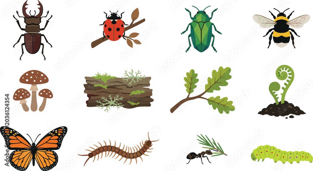 Obraz premium Forest Insect and Nature Illustration Collection Featuring Beetle, Ladybug, Bee, Butterfly, Caterpillar, Mushroom, Fern, and Woodland Wildlife Elements