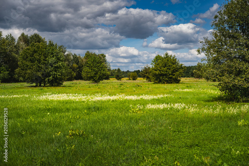 Fotografia lowland landscape with meadows of the vast Bug River valley in the lubelskie voi