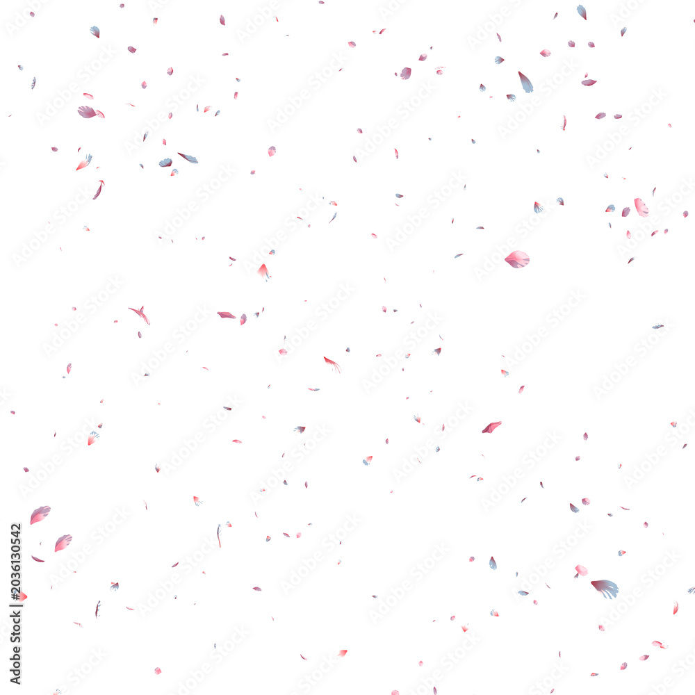 Fototapeta premium Falling white and pink sakura petals 