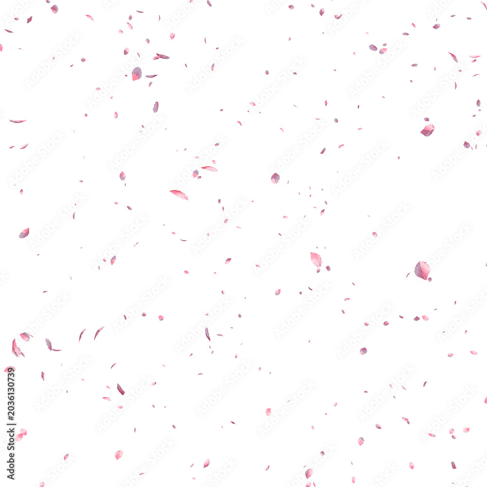 Naklejka premium Falling pink sakura petals