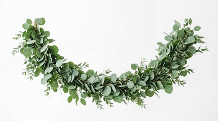 Fresh green eucalyptus leaves garland for holiday decor