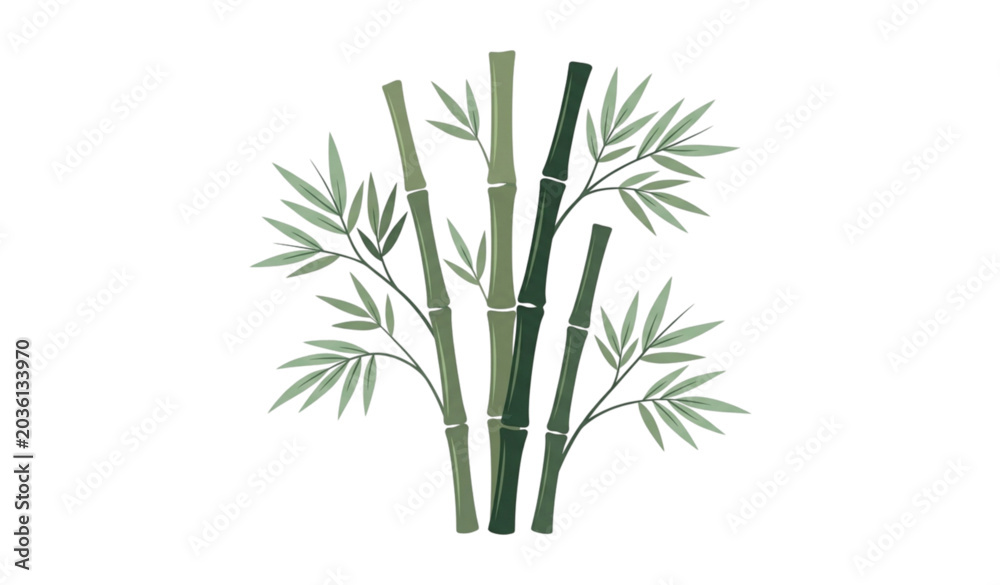 Obraz premium Minimal bamboo vector illustration with elegant botanical stems and leaves