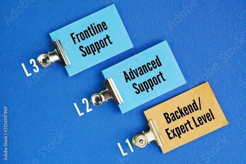 The 3-Tier Technical Role Support/Engineering are 3 level are Frontline Support, Advanced Support, Backend/Expert Level. they are referring to a tiered support or engineering framework