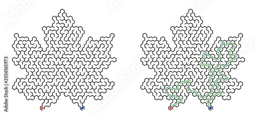 Maze challenge with answers. For kids activity in leaf shape design  