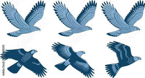 Bild auf Leinwand Six blue toned bird illustrations in various flying poses for artistic graphic d