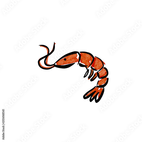 Hand drawn shrimp, orange seafood icon, vector crustacean, food illustration